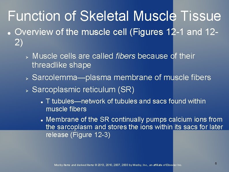 Function of Skeletal Muscle Tissue Overview of the muscle cell (Figures 12 -1 and