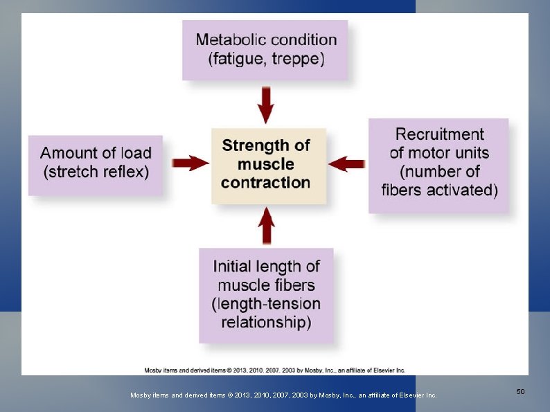 Mosby items and derived items © 2013, 2010, 2007, 2003 by Mosby, Inc. ,