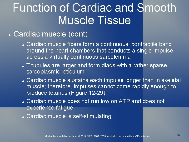 Function of Cardiac and Smooth Muscle Tissue Cardiac muscle (cont) Cardiac muscle fibers form