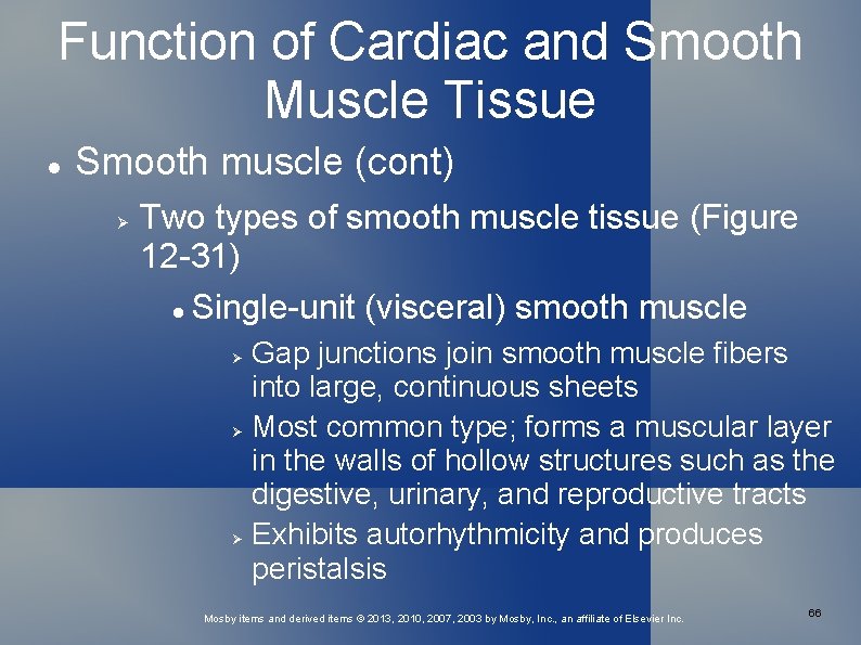 Function of Cardiac and Smooth Muscle Tissue Smooth muscle (cont) Two types of smooth