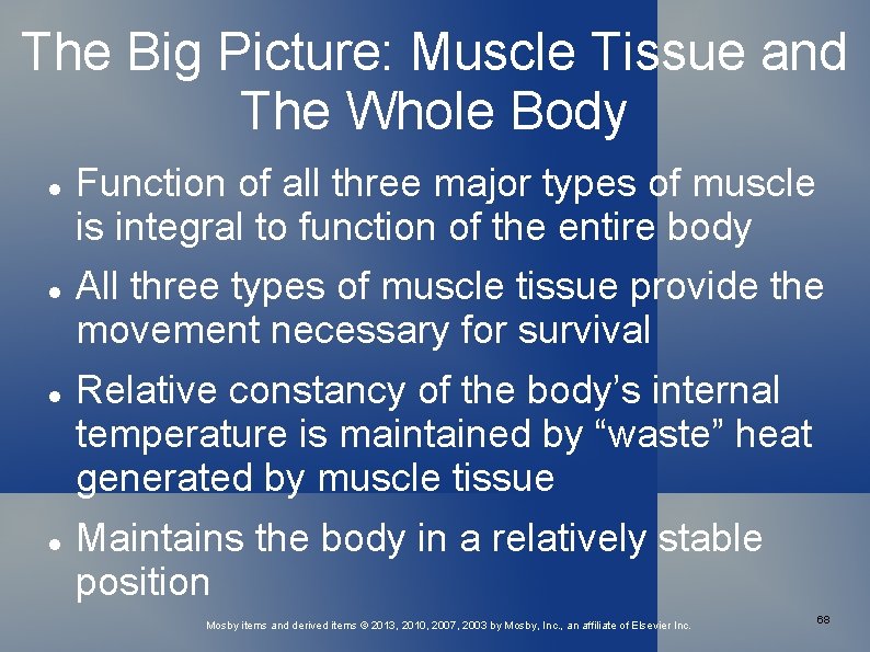 The Big Picture: Muscle Tissue and The Whole Body Function of all three major