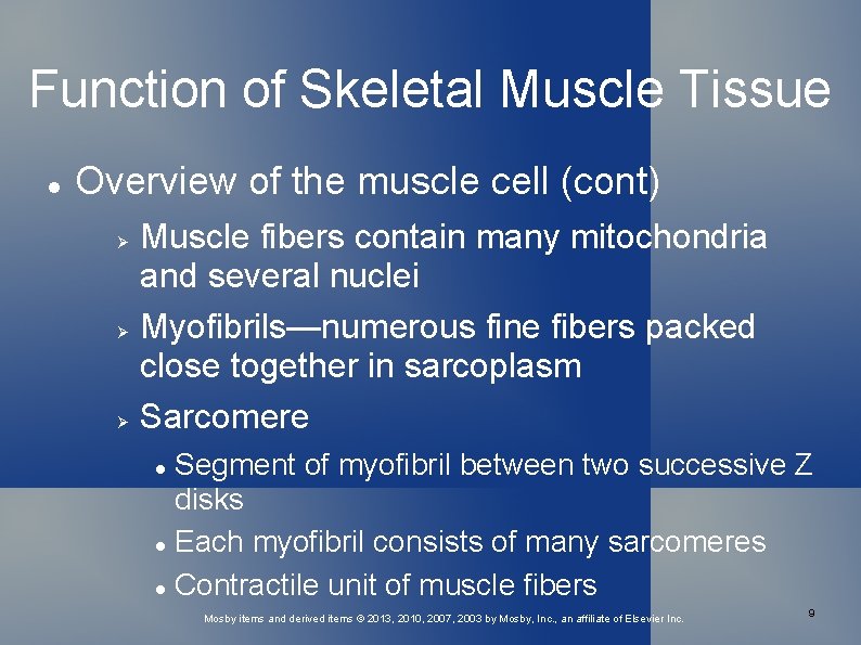 Function of Skeletal Muscle Tissue Overview of the muscle cell (cont) Muscle fibers contain