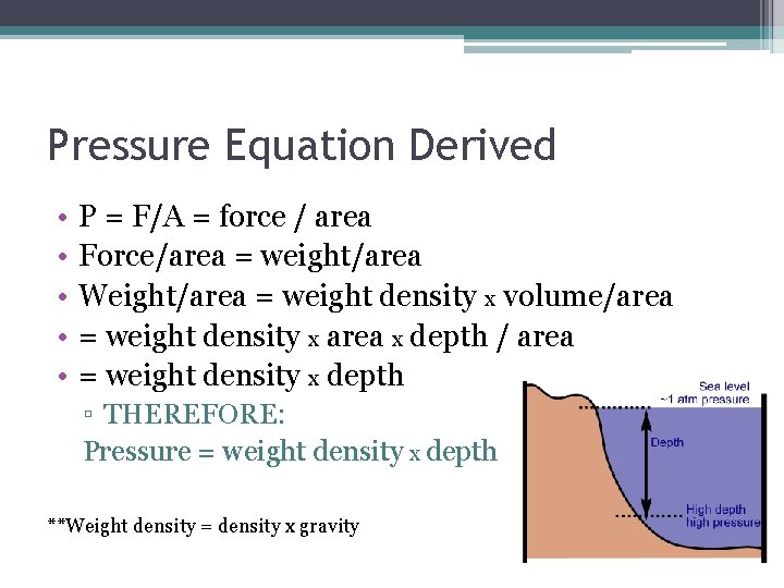 Pressure Equation Derived • • • P = F/A = force / area Force/area