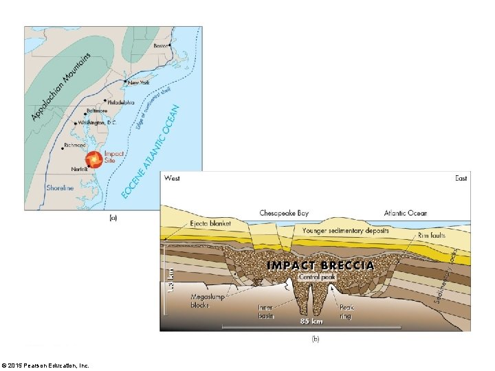 © 2015 Pearson Education, Inc. 