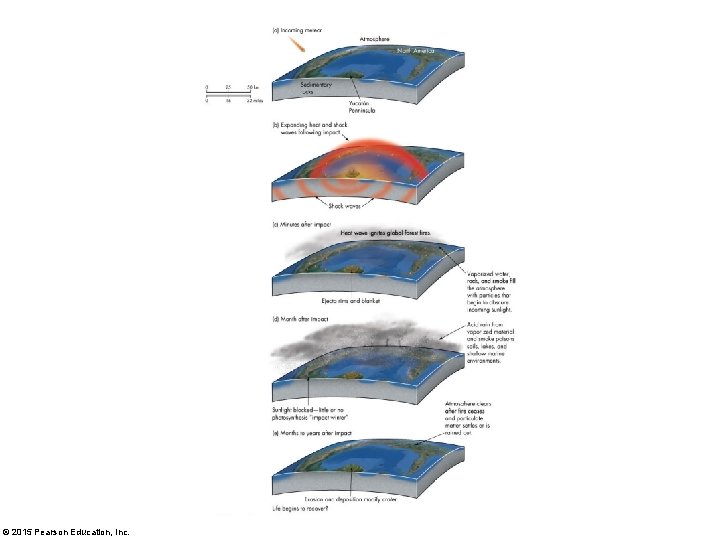 © 2015 Pearson Education, Inc. 