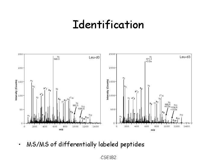 Identification • MS/MS of differentially labeled peptides CSE 182 