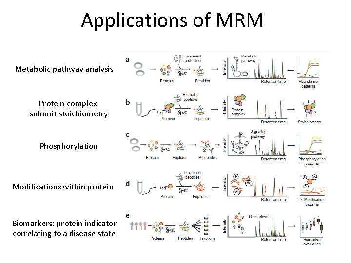 Applications of MRM Metabolic pathway analysis Protein complex subunit stoichiometry Phosphorylation Modifications within protein