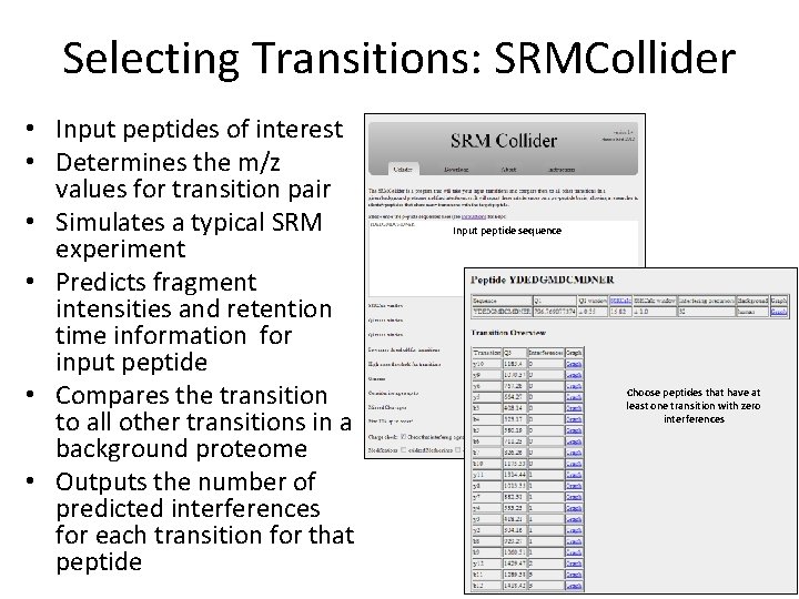 Selecting Transitions: SRMCollider • Input peptides of interest • Determines the m/z values for