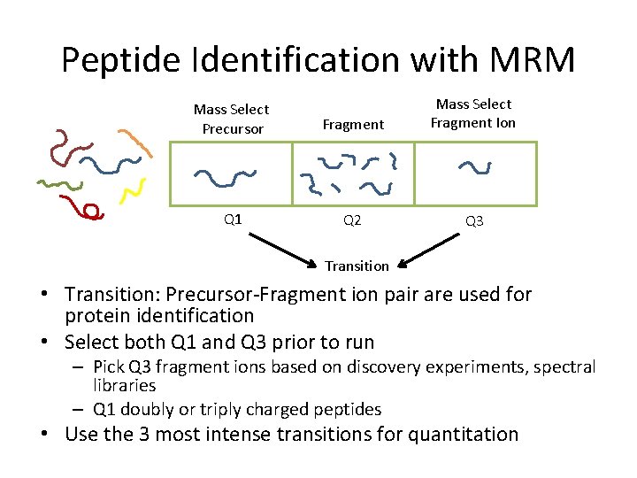 Peptide Identification with MRM Mass Select Precursor Fragment Mass Select Fragment Ion Q 1