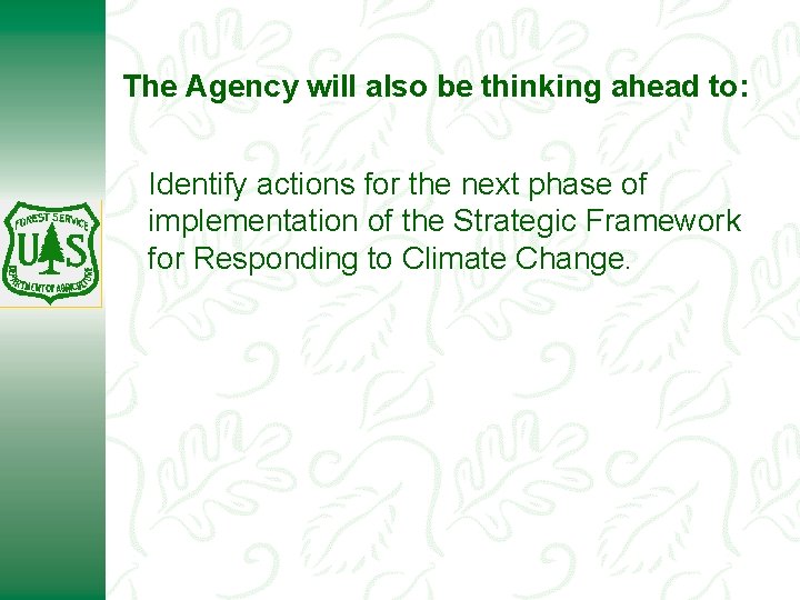 The Agency will also be thinking ahead to: Identify actions for the next phase
