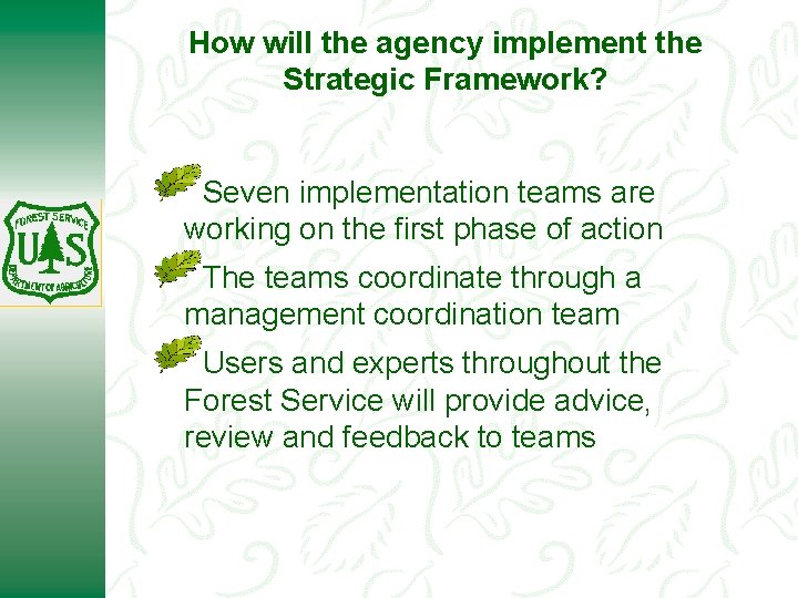 How will the agency implement the Strategic Framework? Seven implementation teams are working on
