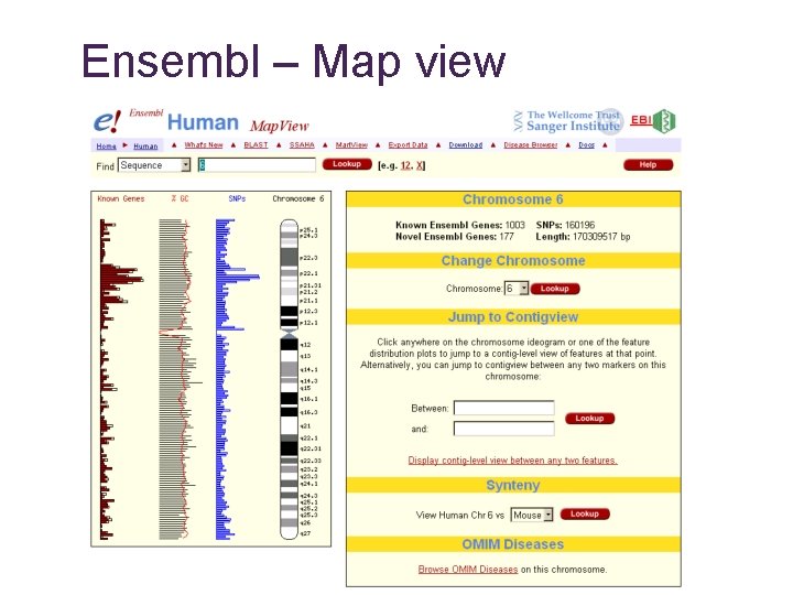 Ensembl – Map view 