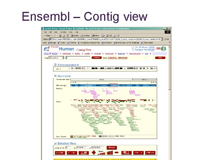 Ensembl – Contig view 