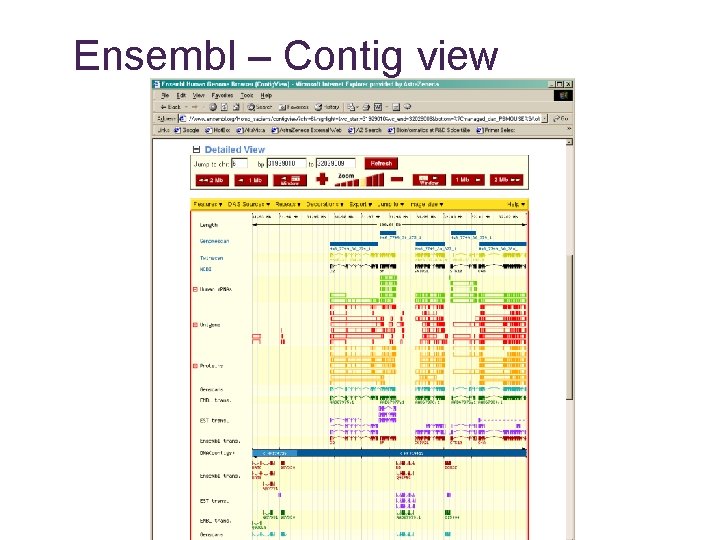 Ensembl – Contig view 