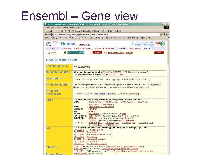 Ensembl – Gene view 