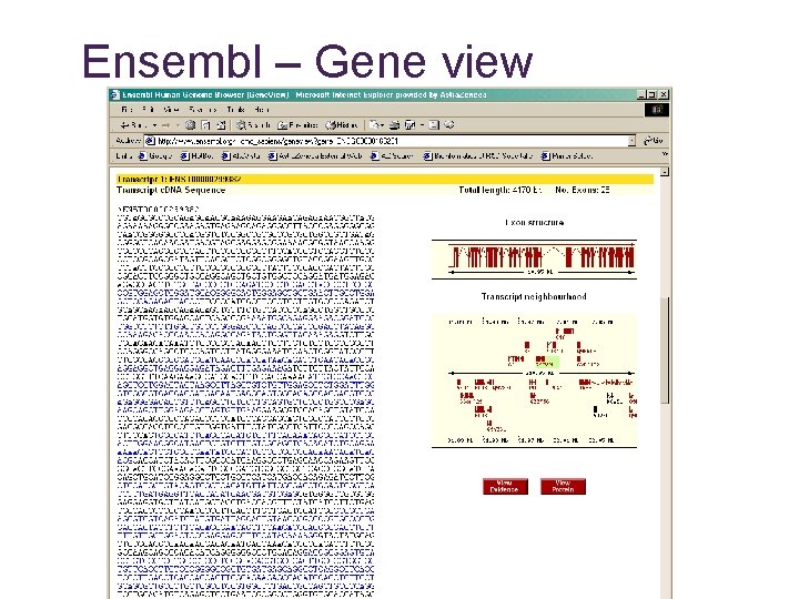 Ensembl – Gene view 