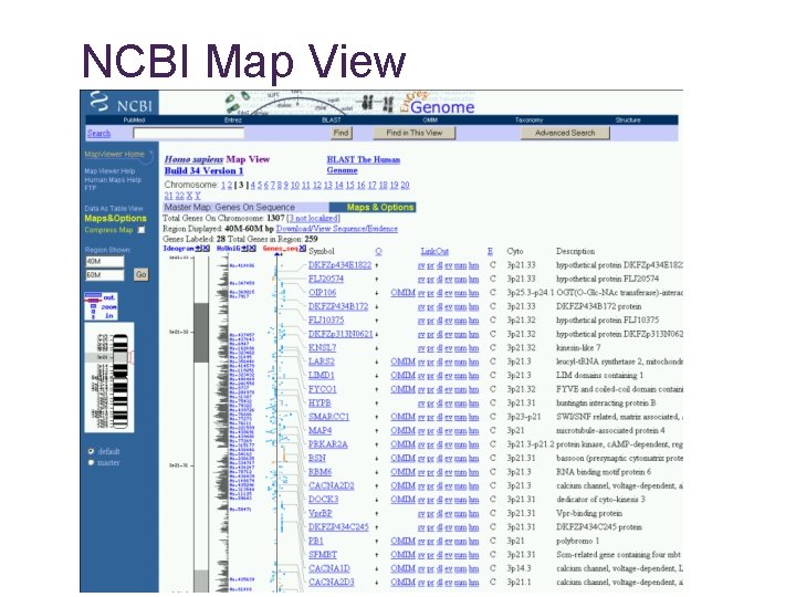 NCBI Map View 