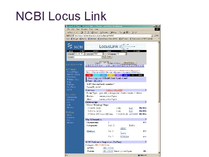 NCBI Locus Link 