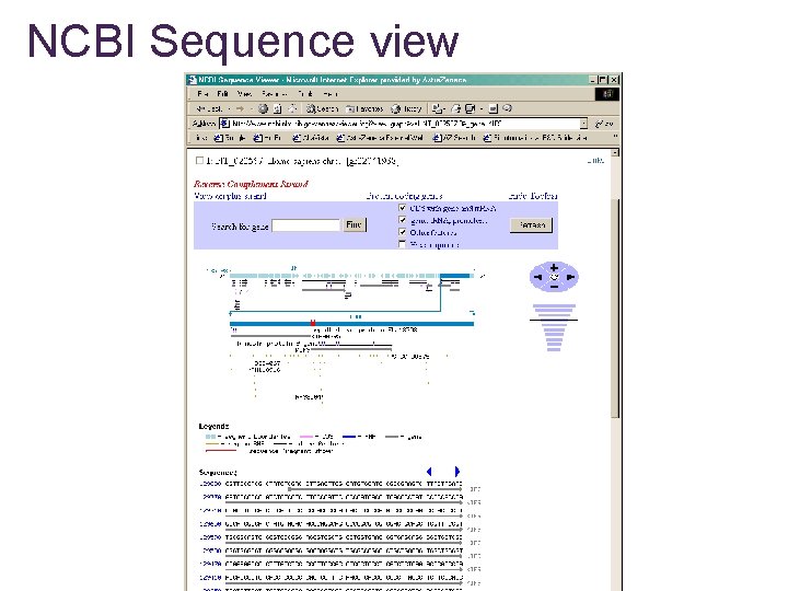 NCBI Sequence view 