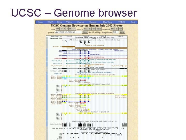 UCSC – Genome browser 