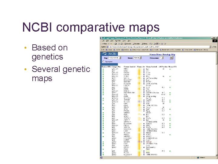 NCBI comparative maps • Based on genetics • Several genetic maps 