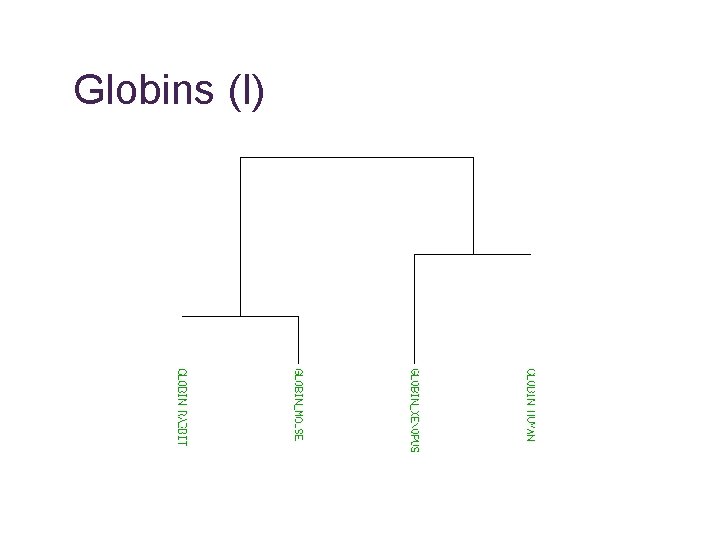 Globins (I) 