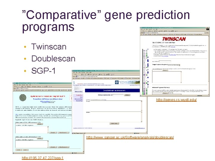 ”Comparative” gene prediction programs • Twinscan • Doublescan • SGP-1 http: //genes. cs. wustl.