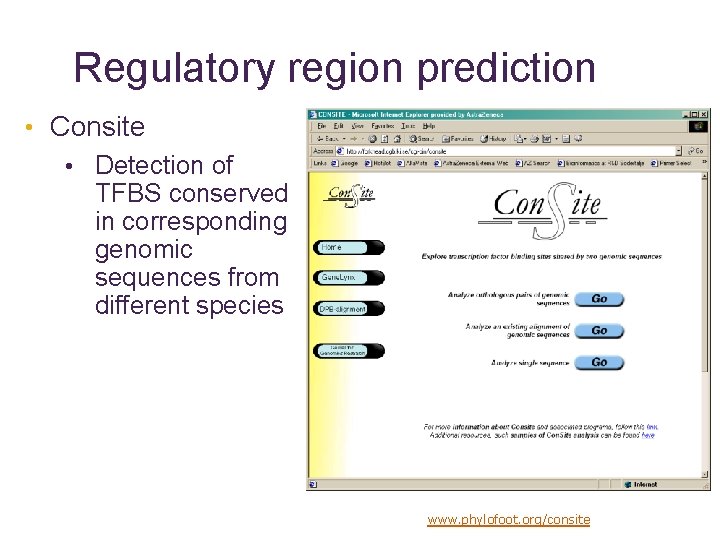 Regulatory region prediction • Consite • Detection of TFBS conserved in corresponding genomic sequences