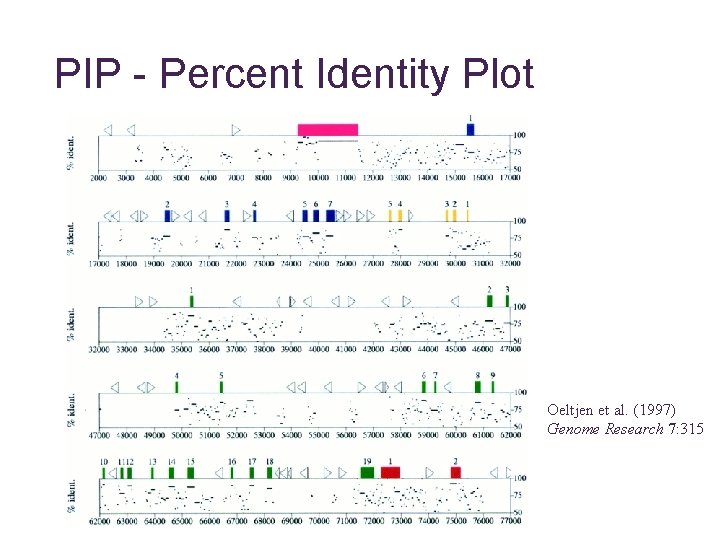 PIP - Percent Identity Plot Oeltjen et al. (1997) Genome Research 7: 315 