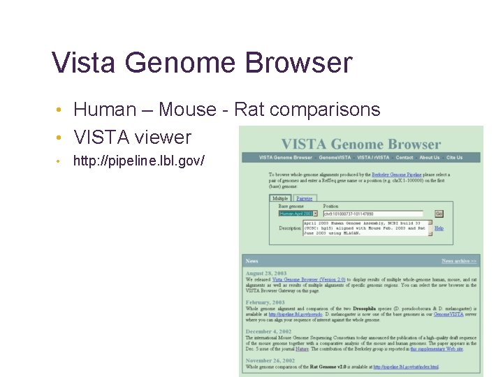 Vista Genome Browser • Human – Mouse - Rat comparisons • VISTA viewer •