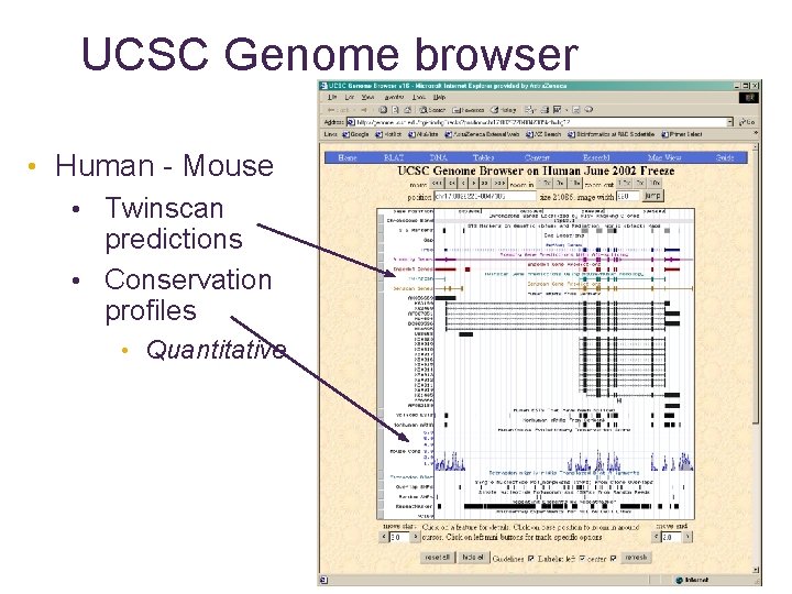 UCSC Genome browser • Human - Mouse • Twinscan predictions • Conservation profiles •