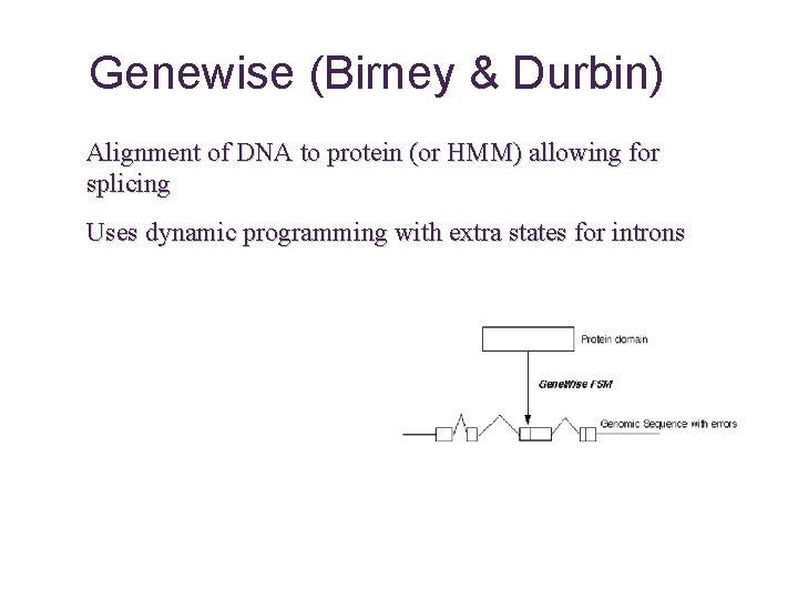 Genewise (Birney & Durbin) Alignment of DNA to protein (or HMM) allowing for splicing