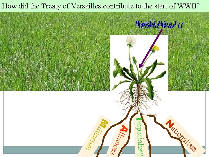 How the Treaty of MAIN, Versailles to theofstart of WWII? Whatdid were the four