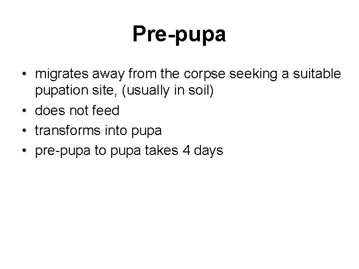 Pre-pupa • migrates away from the corpse seeking a suitable pupation site, (usually in