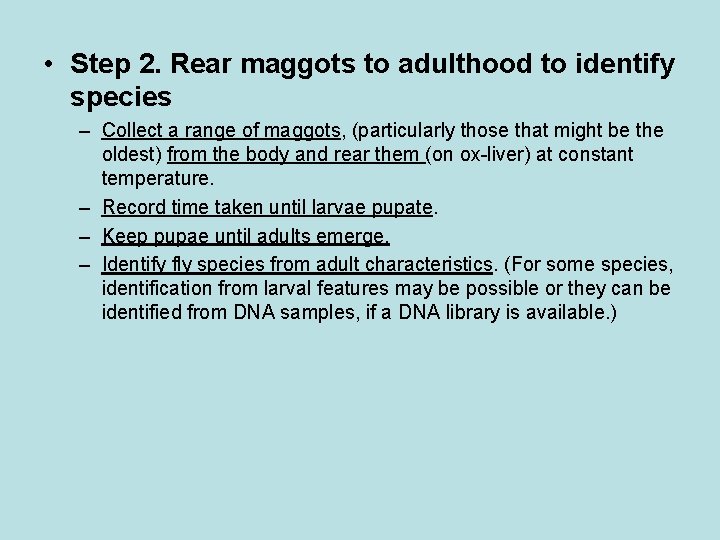  • Step 2. Rear maggots to adulthood to identify species – Collect a