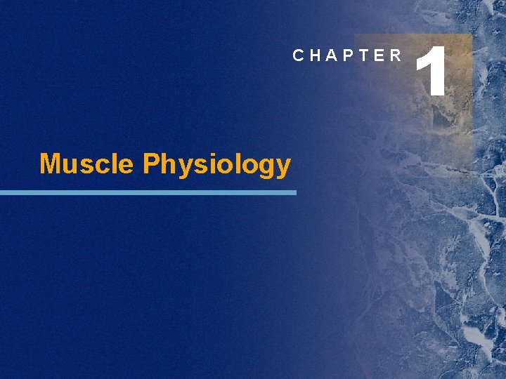 CHAPTER Muscle Physiology 1 