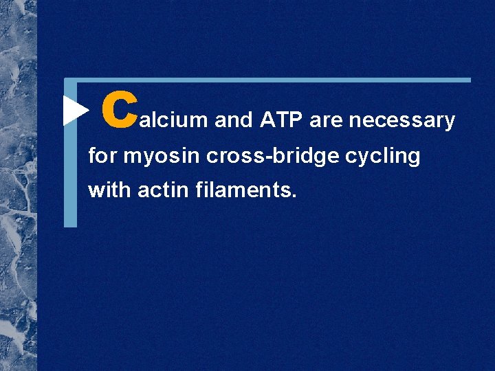  Calcium and ATP are necessary for myosin cross-bridge cycling with actin filaments. 