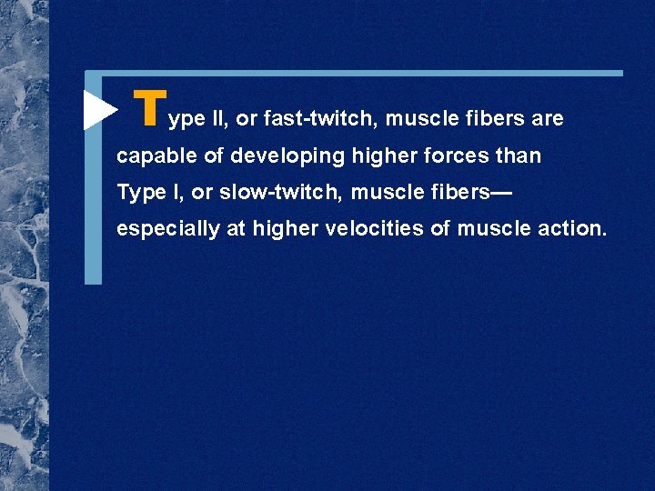  Type II, or fast-twitch, muscle fibers are capable of developing higher forces than