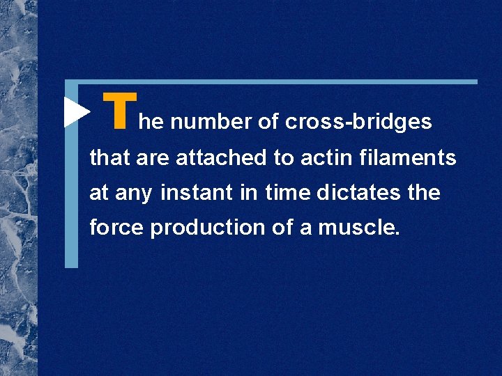  The number of cross-bridges that are attached to actin filaments at any instant