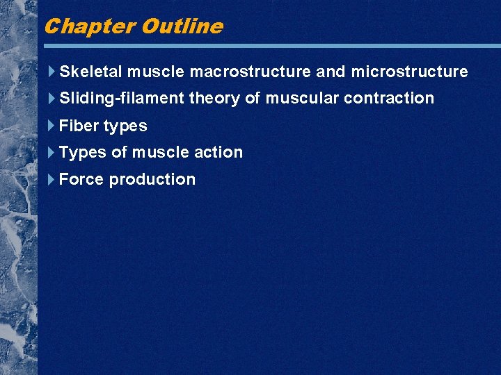 Chapter Outline Skeletal muscle macrostructure and microstructure Sliding-filament theory of muscular contraction Fiber types