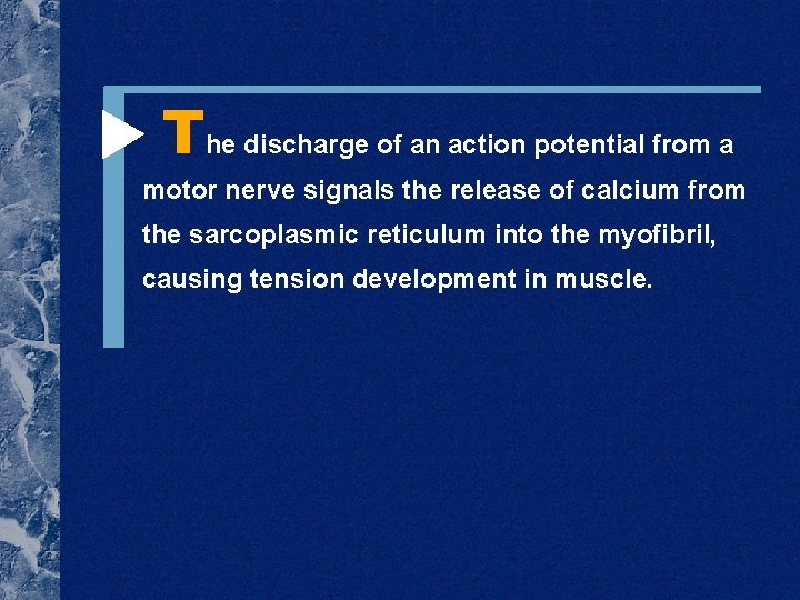  The discharge of an action potential from a motor nerve signals the release