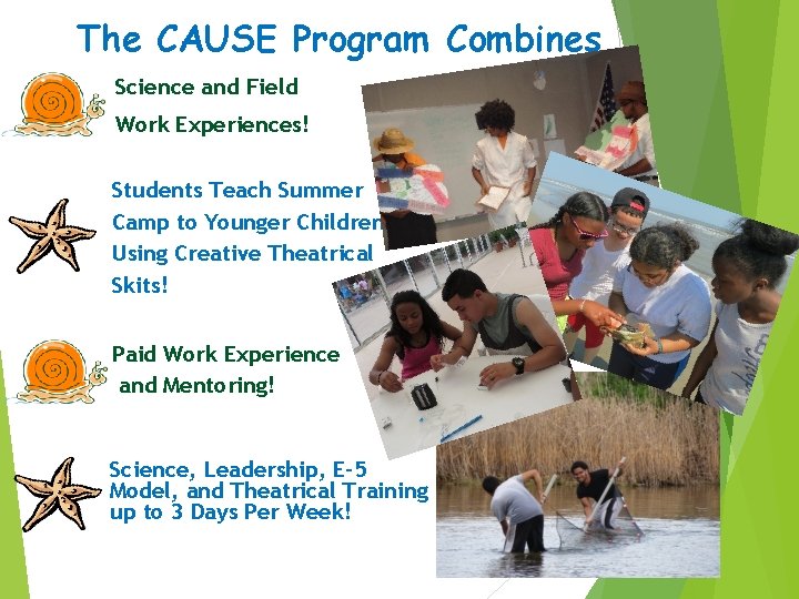 The CAUSE Program Combines Science and Field Work Experiences! Students Teach Summer Camp to