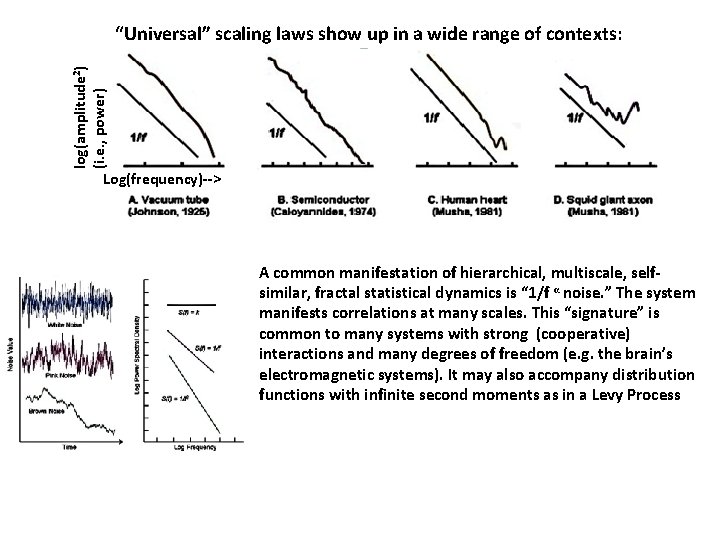 log(amplitude 2) (i. e. , power) “Universal” scaling laws show up in a wide