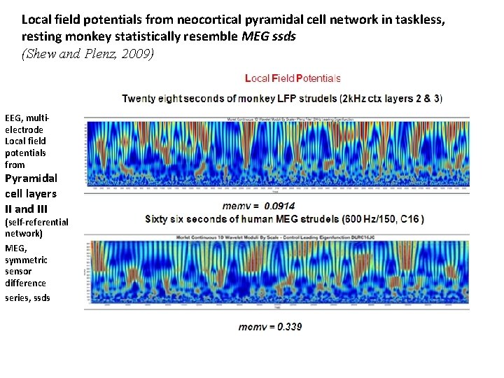 Local field potentials from neocortical pyramidal cell network in taskless, resting monkey statistically resemble