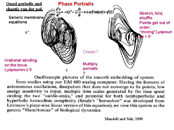 Quasi-periodic and chaotic van der pol. Phase Portraits Stretch, fold, shuffle. Points get out