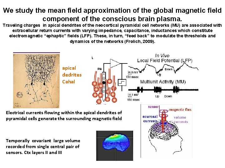 We study the mean field approximation of the global magnetic field component of the