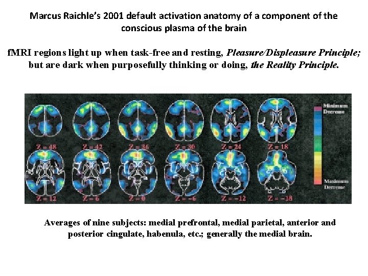 Marcus Raichle’s 2001 default activation anatomy of a component of the conscious plasma of