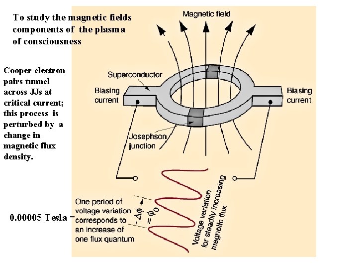 To study the magnetic fields components of the plasma of consciousness Cooper electron pairs