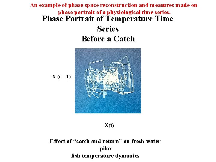 An example of phase space reconstruction and measures made on phase portrait of a