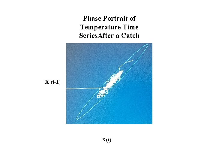 Phase Portrait of Temperature Time Series. After a Catch X (t-1) X(t) 